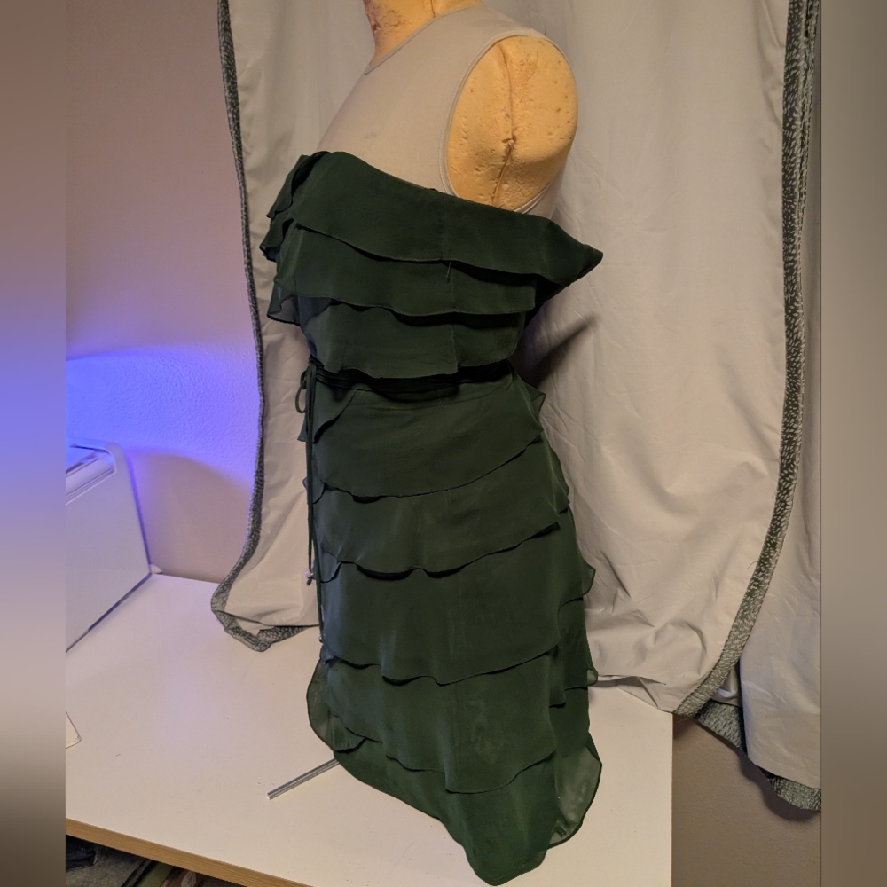 Lazaro Green Ruffled Dress - Picture 3 of 8